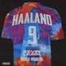 HAALAND