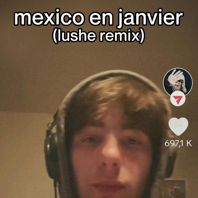 Album cover art for Mexico en Janvier