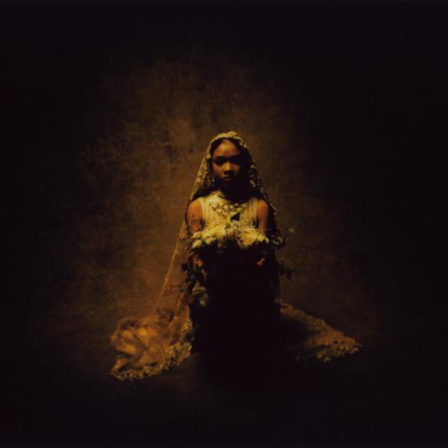 Album cover art for GOLD DIGGER