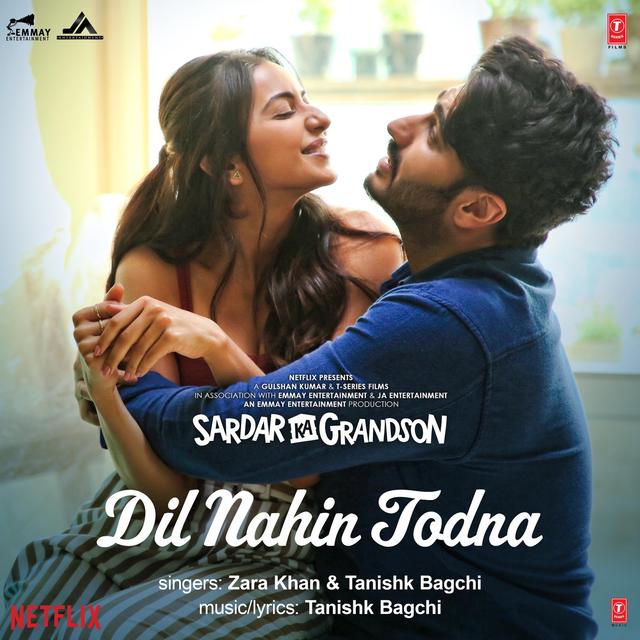 Album cover art for Dil Nahin Todna