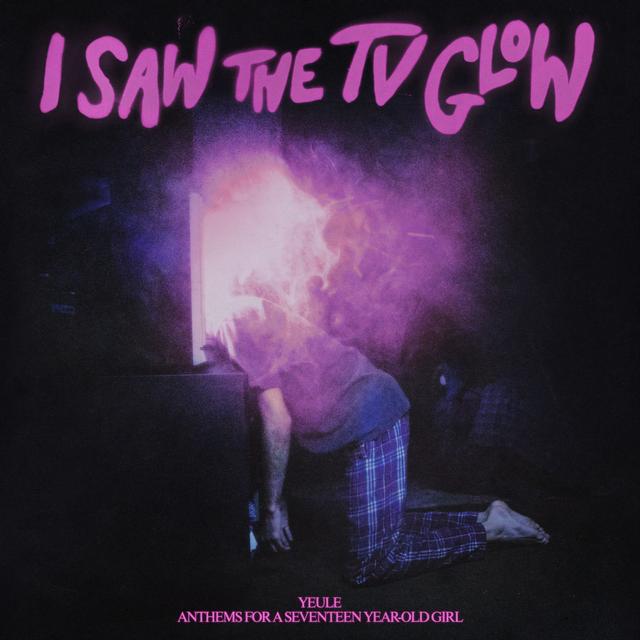 Album cover art for Anthems For a Seventeen Year-Old Girl