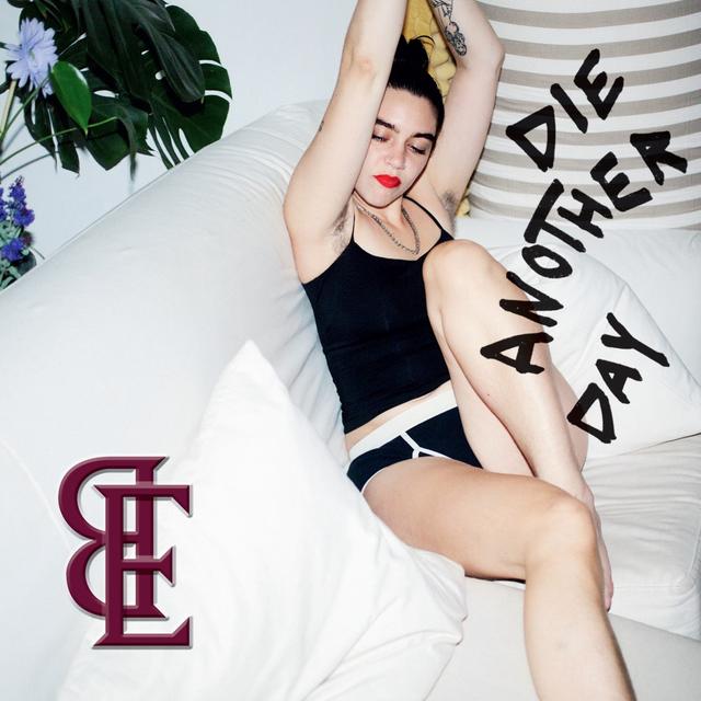 Album cover art for Die Another Day