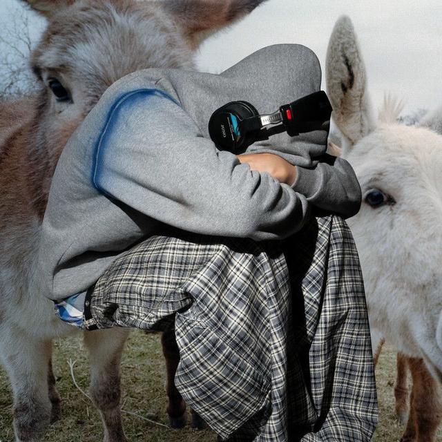 Album cover art for Doggy