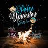 POLOS OPUESTOS