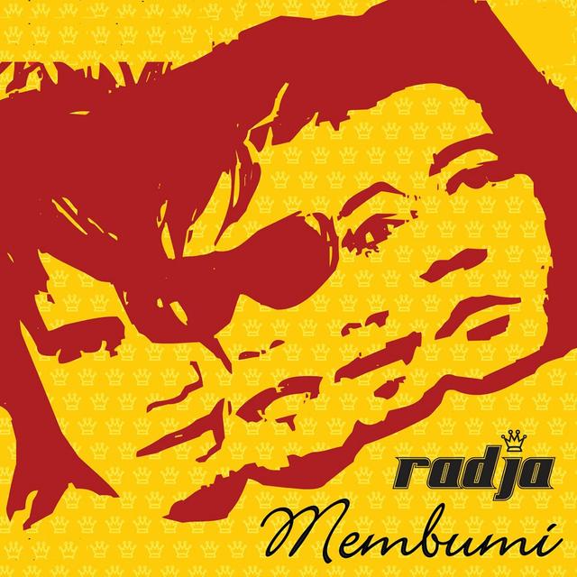 Album cover art for Membumi