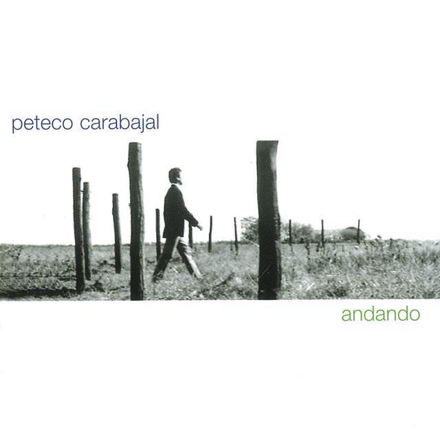 Album cover art for Andando
