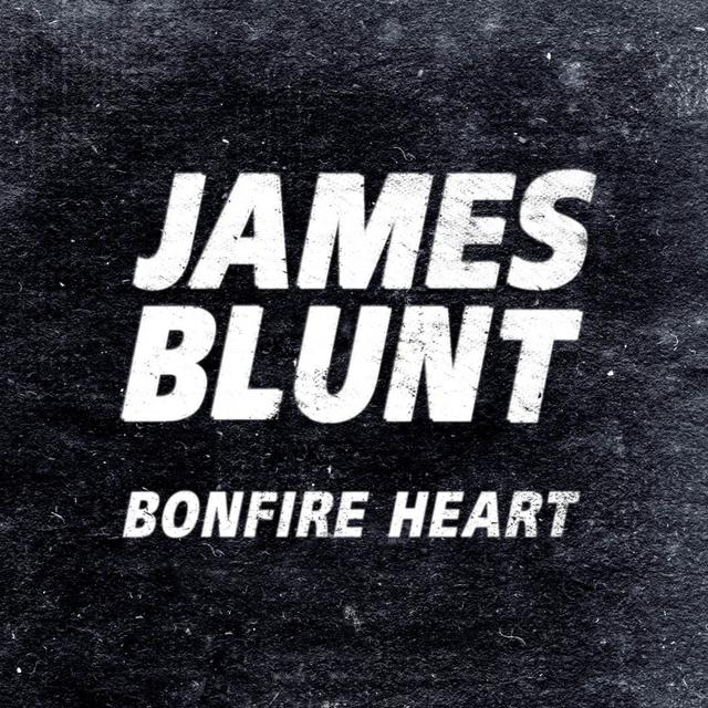 Album cover art for Bonfire Heart