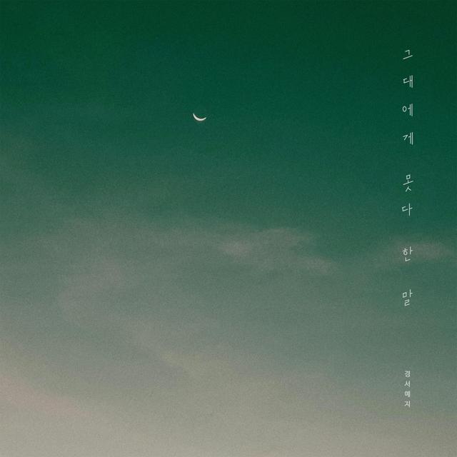 Album cover art for Something I couldn't say to you