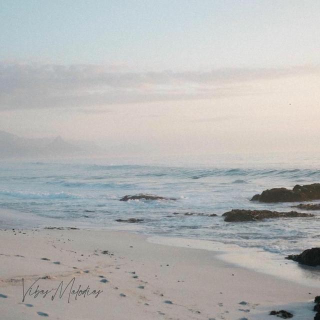 Album cover art for Vibes & Melodies