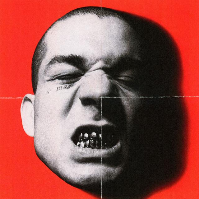 Album cover art for Caballo Negro