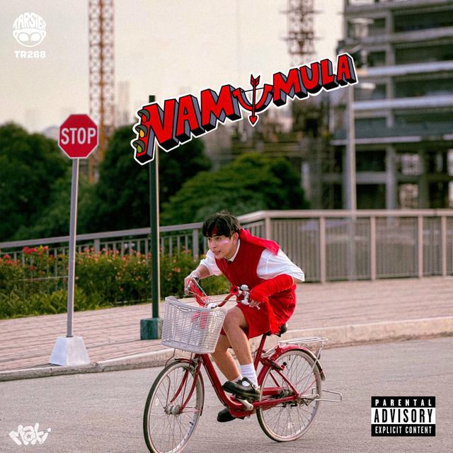 Album cover art for Namumula