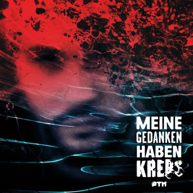 Album cover art for Meine Gedanken haben Krebs