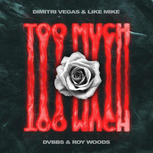 Album cover art for Too Much