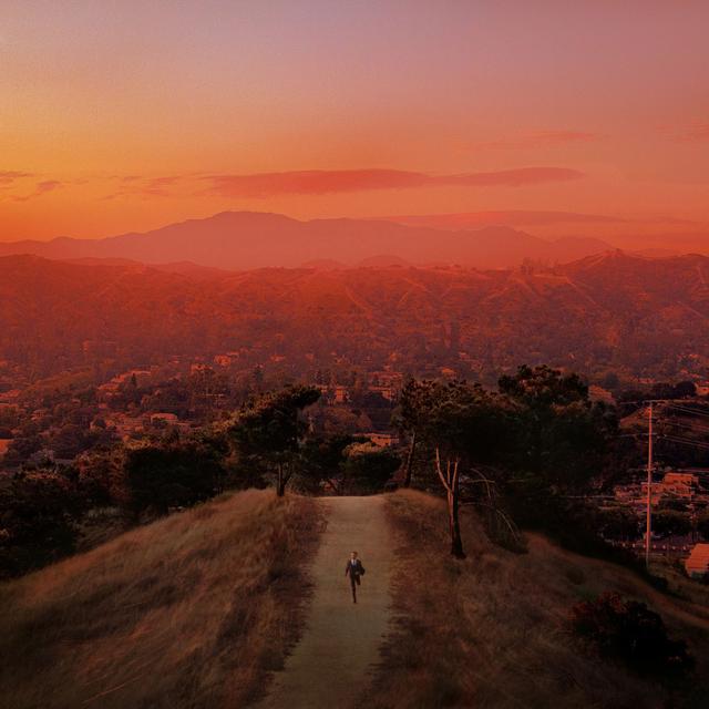 Album cover art for Let's Fall in Love for the Night