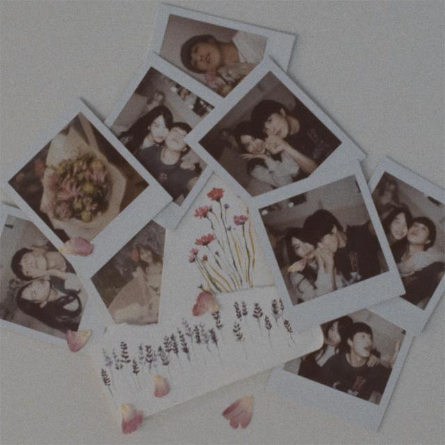 Album cover art for The End Of Love