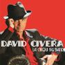 Rosa Y Espinas (feat. David Bisbal)