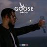 GOOSE