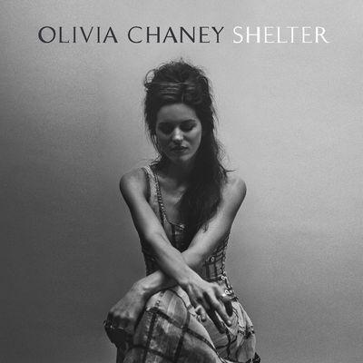 Album cover art for Shelter