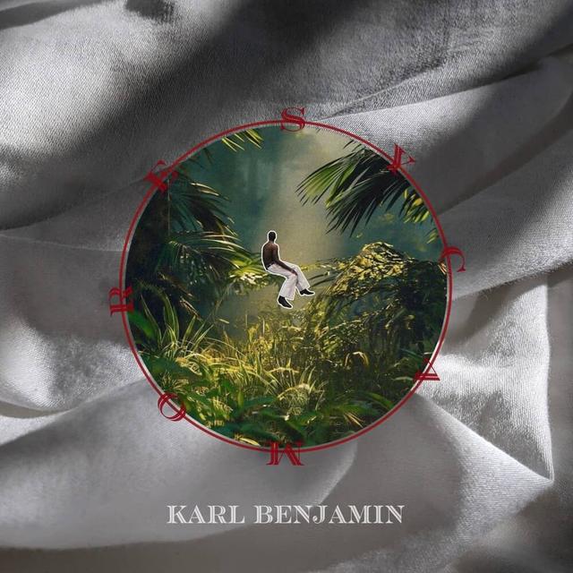 Album cover art for Sycamore