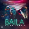 Baila Reggaetón (Baila Reggaeton)
