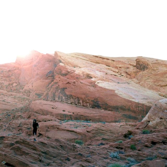 Album cover art for The Waves