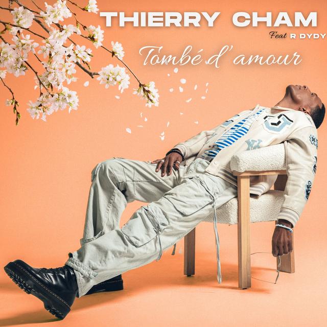 Album cover art for Tombé d'amour