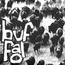 Buffalo