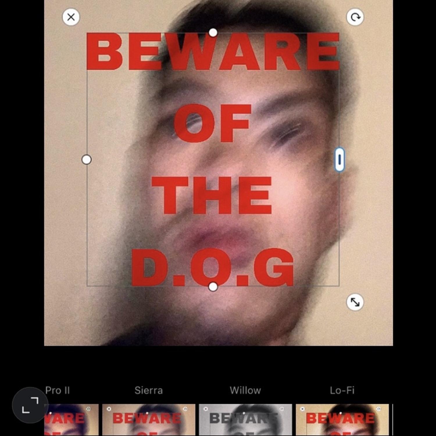 Lyric cover art