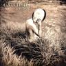 Beauty No.3 (Live at Le Bataclan)