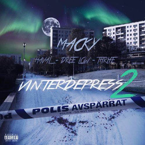 Album cover art for Vinterdepress 2