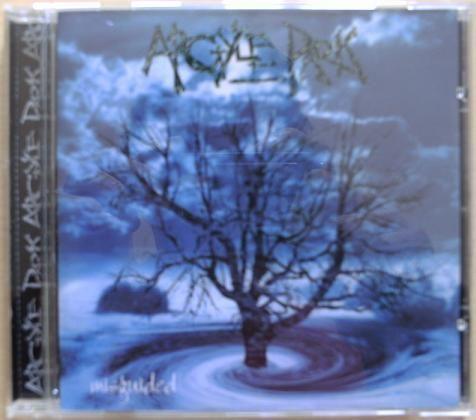 Album cover art for Misguided