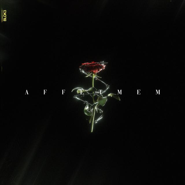Album cover art for AFFETMEM