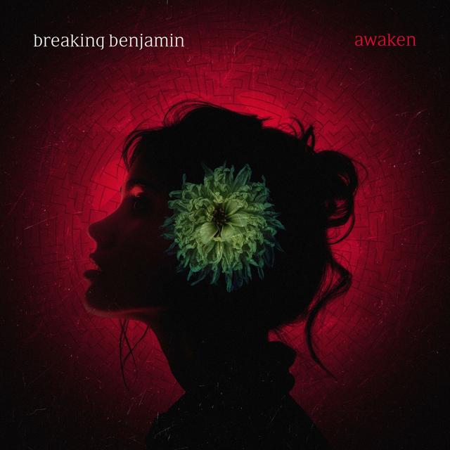 Album cover art for Awaken