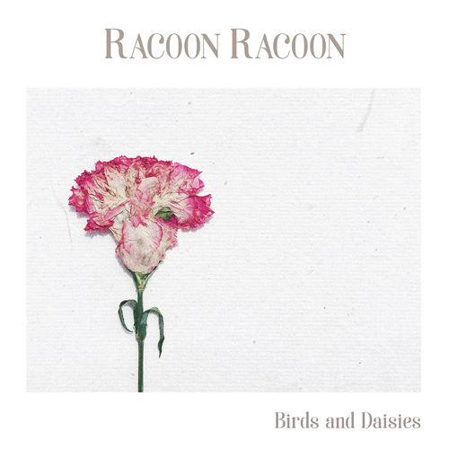 Album cover art for Birds and Daisies