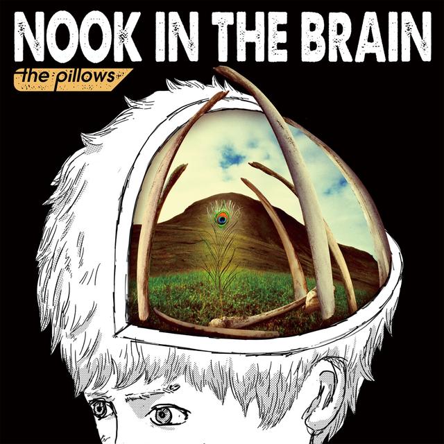 Album cover art for NOOK IN the BRAIN