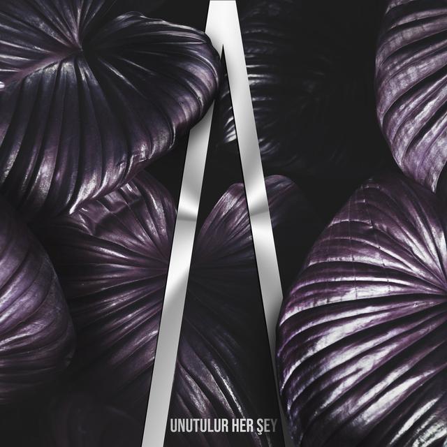 Album cover art for Unutulur Her Şey