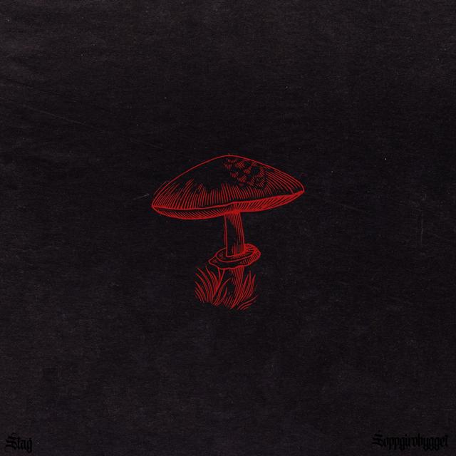 Album cover art for STAG