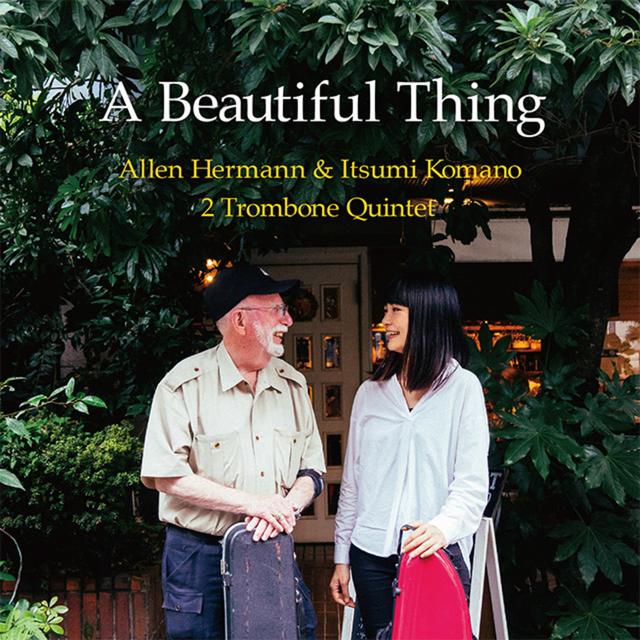 Album cover art for A Beautiful Thing