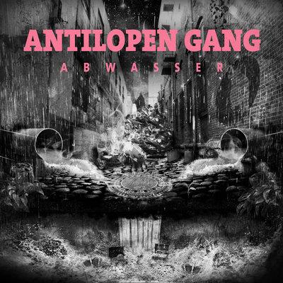Album cover art for Abwasser