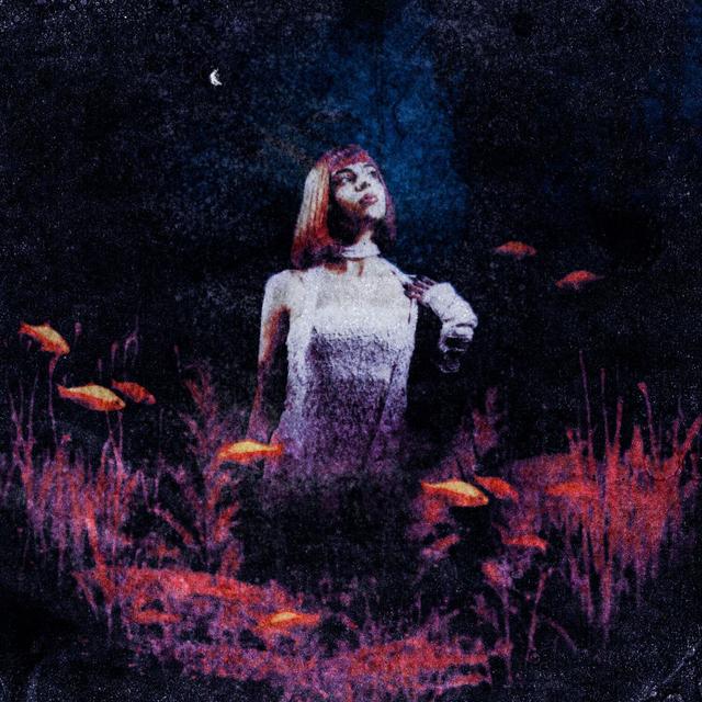 Album cover art for SI Y'A UN MONDE