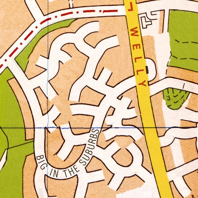 Album cover art for Big in the suburbs