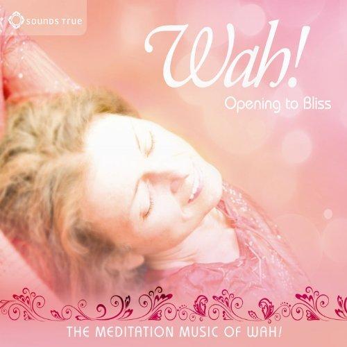 Album cover art for Opening To Bliss