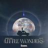 Little Wonders