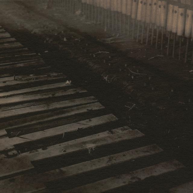 Album cover art for Shock Me
