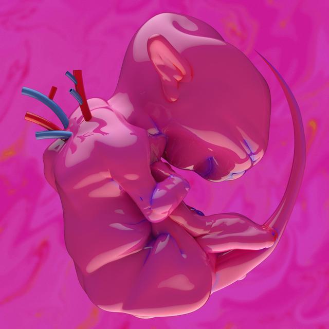 Album cover art for ekkolaptómenos