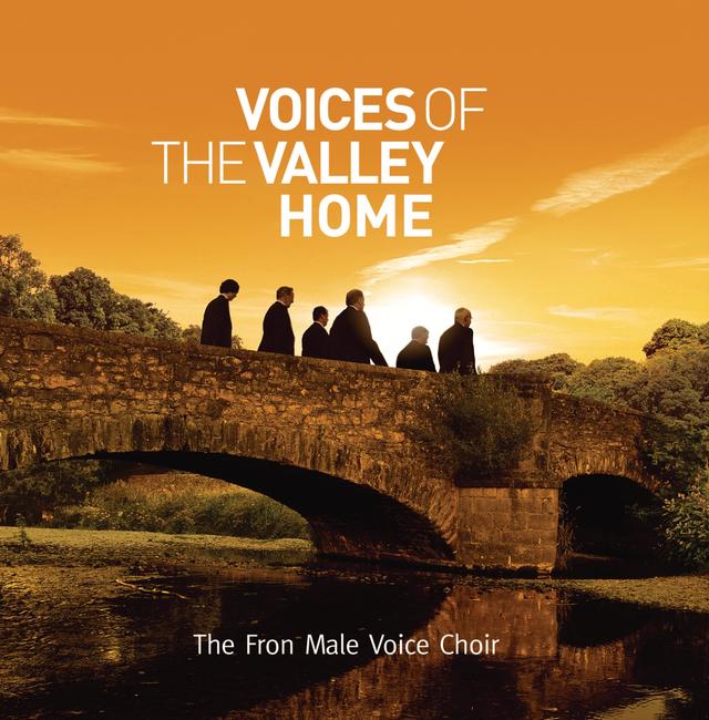 Album cover art for Voices Of The Valley: Home