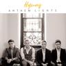 Southern Gospel Medley: I'll Fly Away / Swing Low (Sweet Chariot) / I Saw the Light