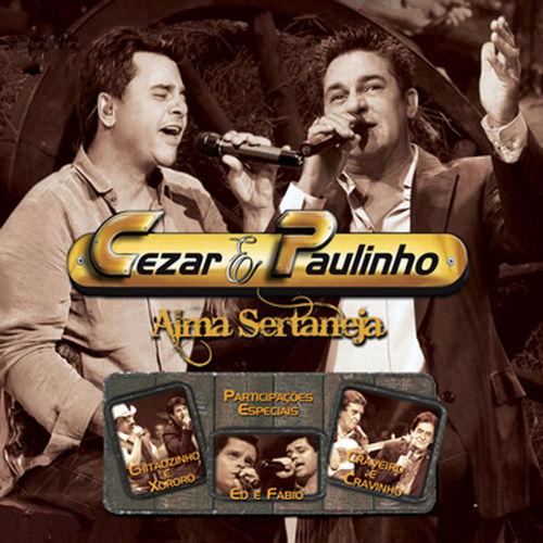 Album cover art for Alma Sertaneja, Vol. 2 - Ao Vivo