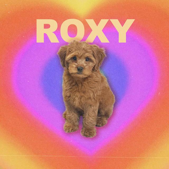 Album cover art for Roxy