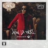 Album cover art for Aow La Woii